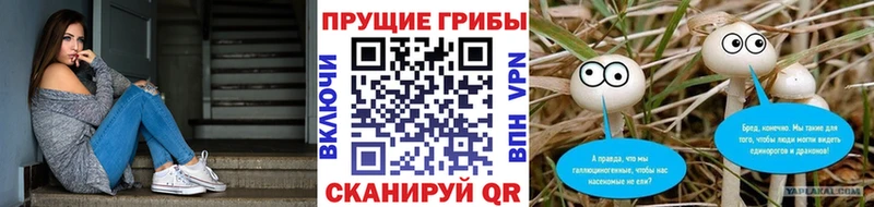 Псилоцибиновые грибы MAGIC MUSHROOMS  OMG ССЫЛКА  Коркино  купить наркоту 